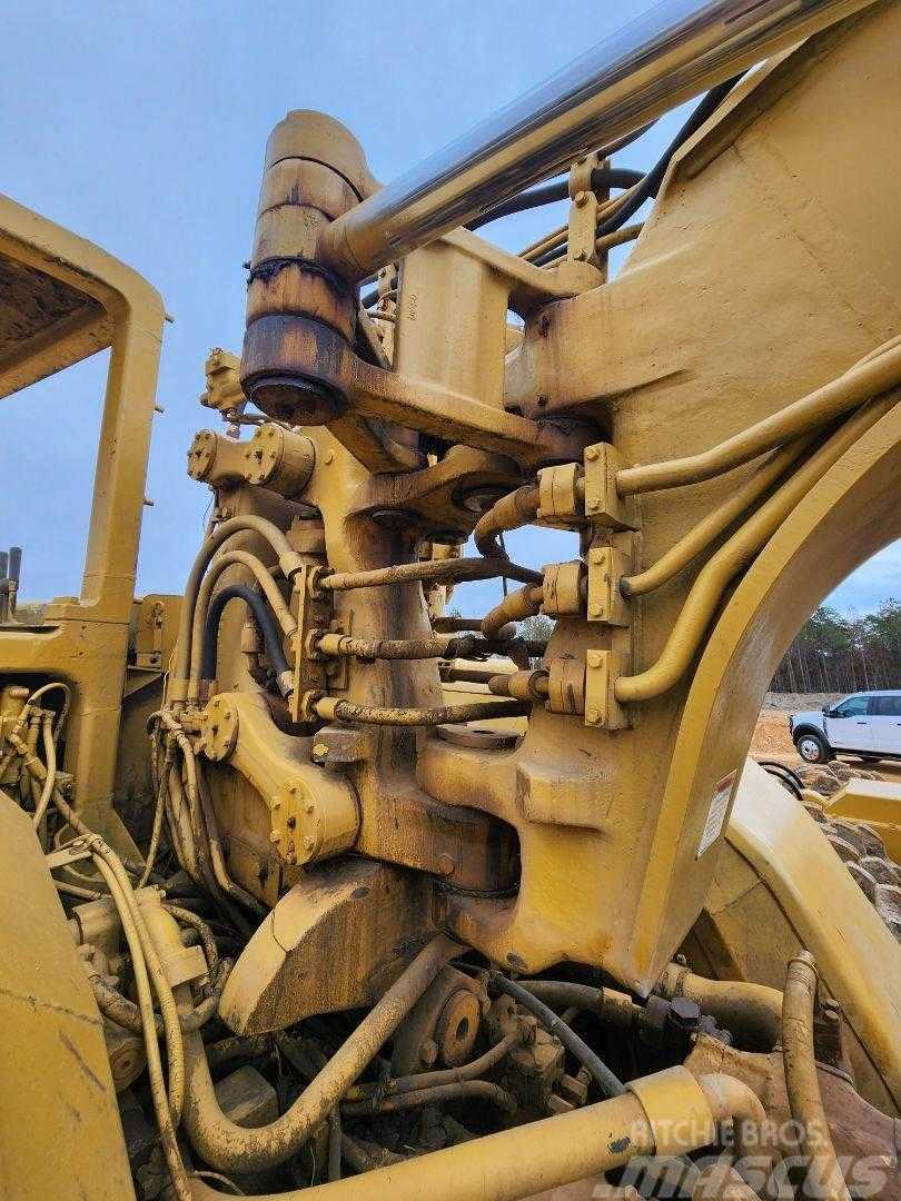 Caterpillar