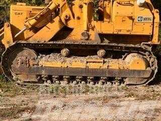 Caterpillar