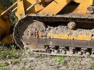 Caterpillar